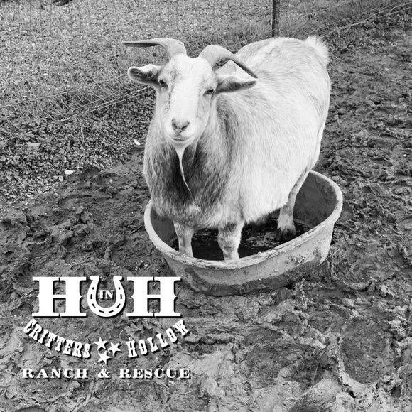 Heart in Hand Critters Hollow Ranch & Rescue Logo Canvas Bag - Picture 3 of 3